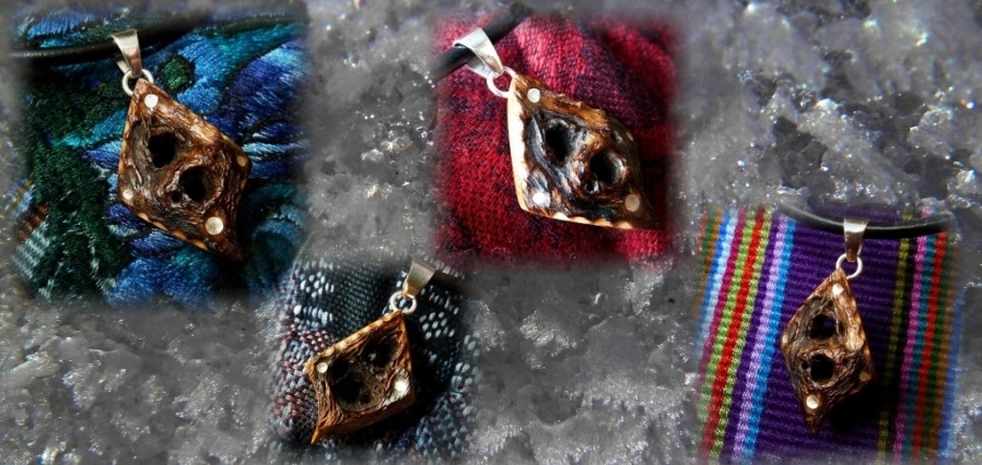 N�HRDELN�K NH-148....KAKTUS - Mexick�..32