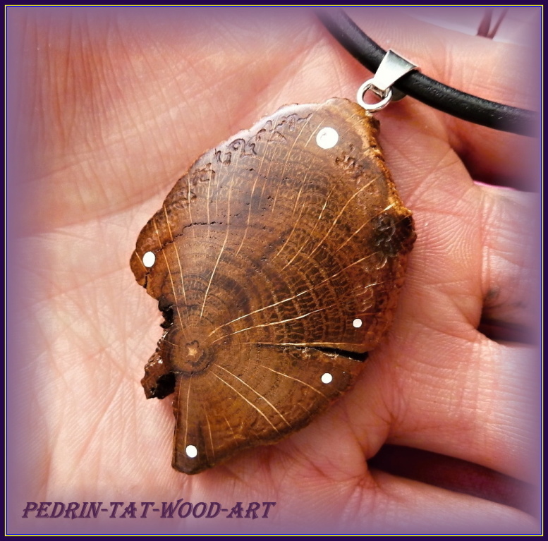 N�HRDELN�K NH-238 - DUBOV� "...do Zem�...".