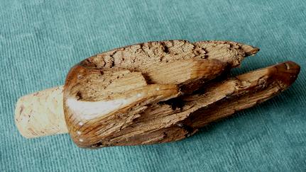 Z�TKA NA LAHEV ZA-004 DUB