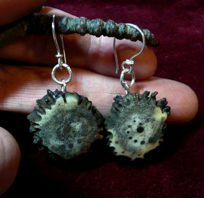 N�U�NICE NA-020 PARO��-SRNEC